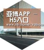 亚博app引领国际前沿设计