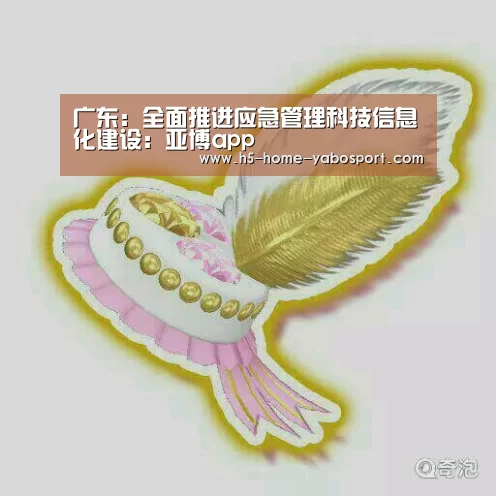 广东:全面推进应急管理科技信息化建设:亚博app(图2) 亚博官网